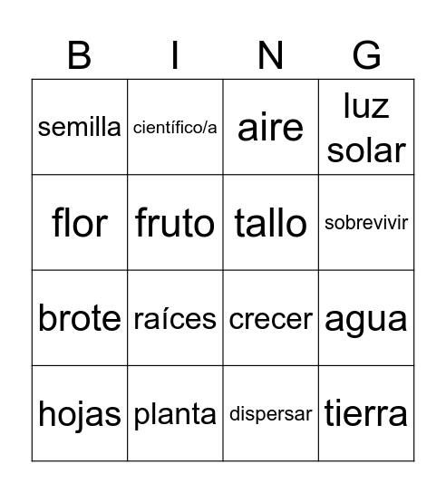 Plantas Bingo Card