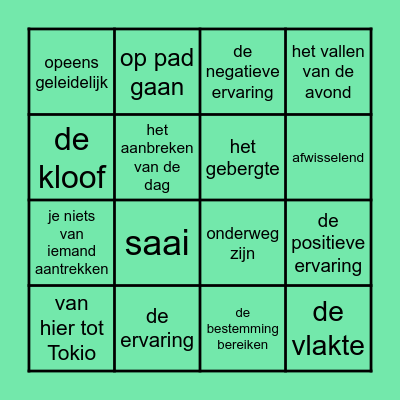 Woordenschat bingo groep 4 thema 2 Bingo Card