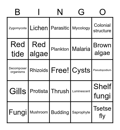 Biology Bingo (Chapter 11/12) Bingo Card