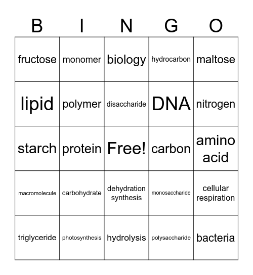 Biochemistry Bingo Card