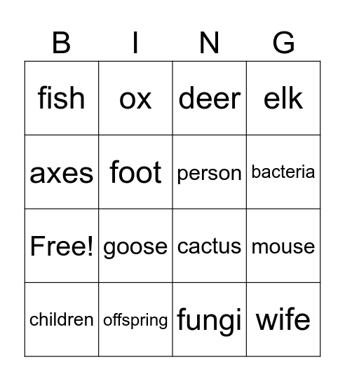Irregular Plural Nouns Bingo Card