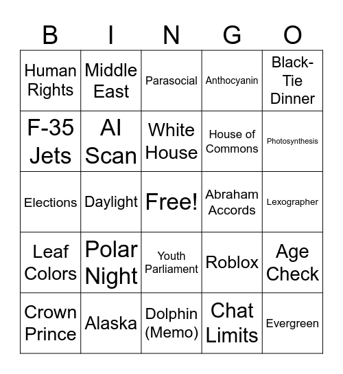 CNN 10 11/19/25 Bingo Card