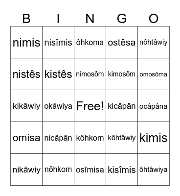 Family Terms Bingo Card