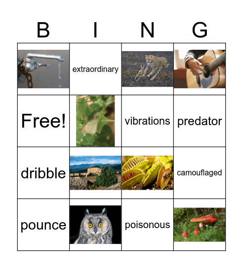 Wonders Unit 2 Weeks 1-2 Vocabulary Bingo Card