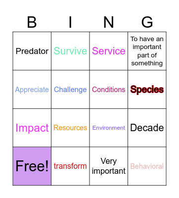 Vocabulary Bingo Card