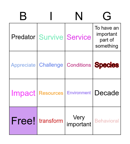 Vocabulary Bingo Card