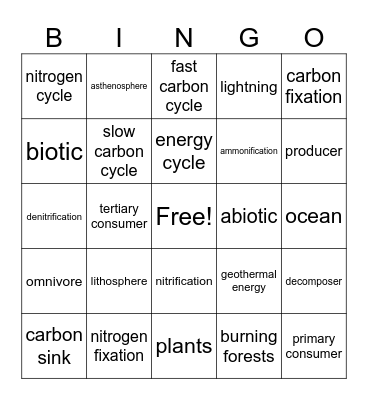 Unit 5 Earth's Processes Bingo Card