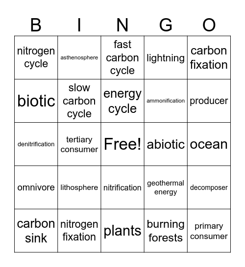 Unit 5 Earth's Processes Bingo Card