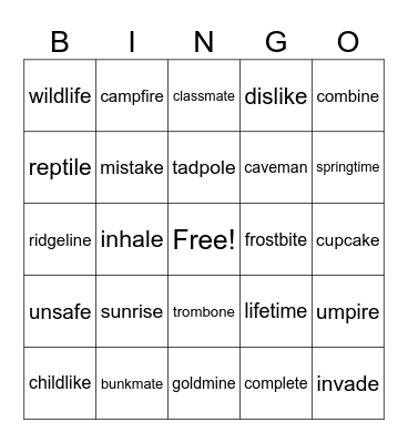 Two-Syllable Magic-e Words Bingo Card
