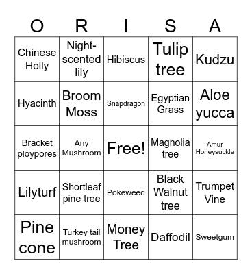 Olomo Wewe Nature Bingo Card