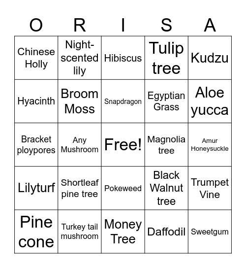 Olomo Wewe Nature Bingo Card