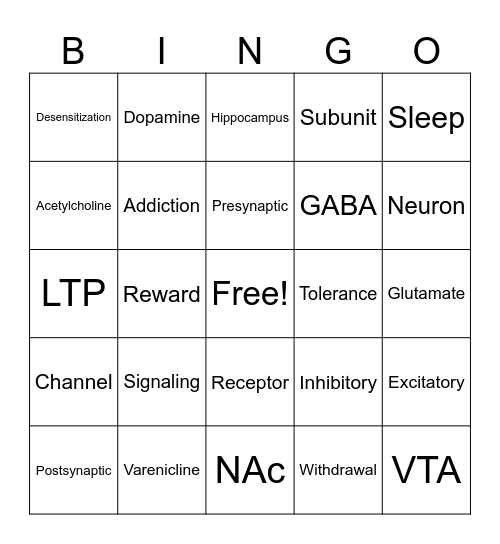 Synaptic Transmission Bingo Card