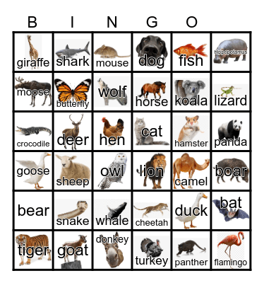 Animals Bingo Card