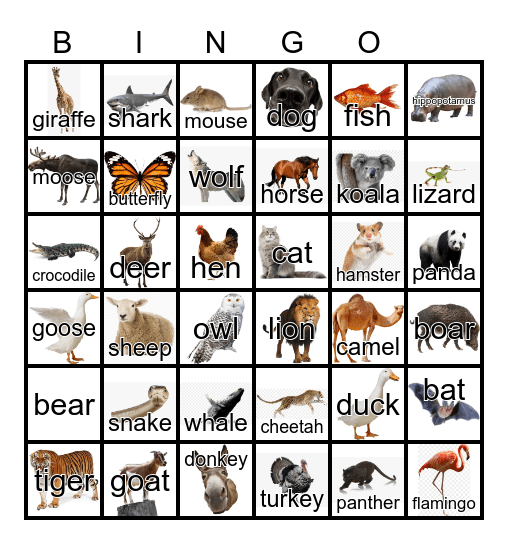 Animals Bingo Card
