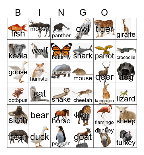 Animals Bingo Card