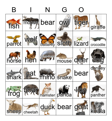 Animals Bingo Card