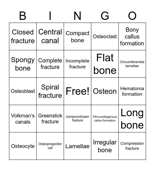 Chapter 6 Bingo! Bingo Card