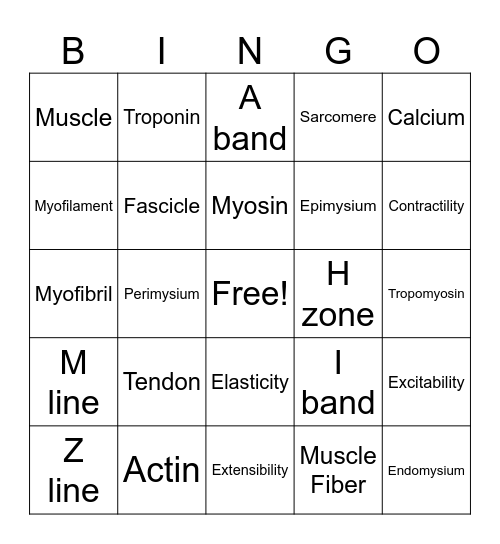 Muscle Structure Bingo Card