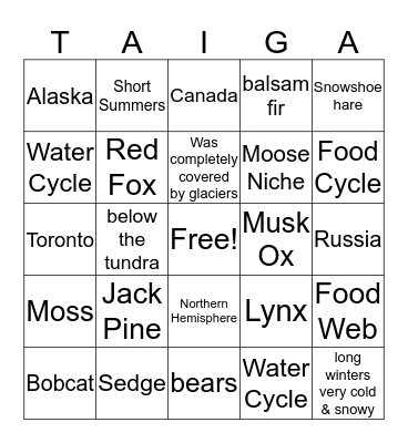 TAIGA Bingo Card