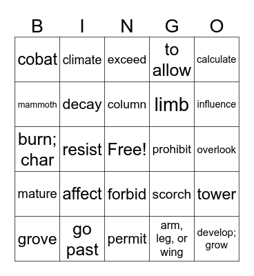 Vocabulary Bingo Card