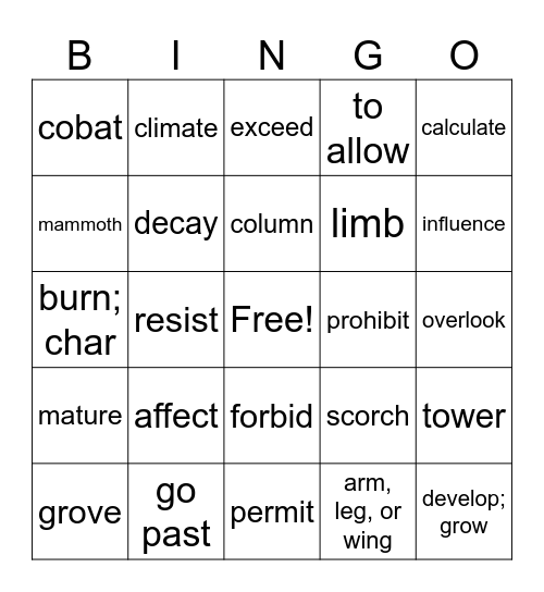 Vocabulary Bingo Card