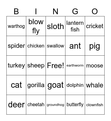 fast cheetah slow tortoise Bingo Card