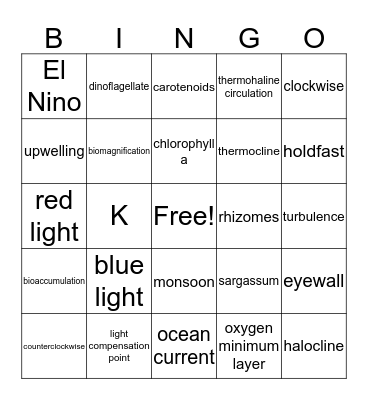 Unit 7 & 8 Bingo Card