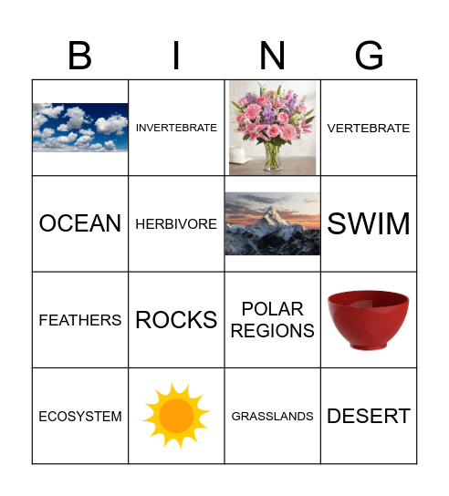 Let’s have fun! Bingo Card