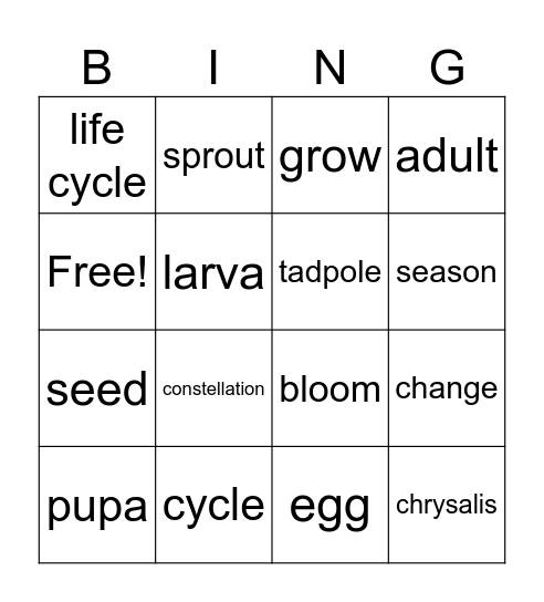 Unit 4 2nd grade Bingo Card