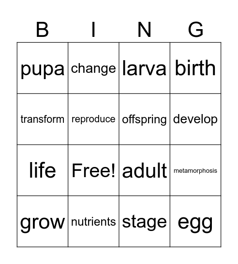 Unit 4 grade 3 bingo Card