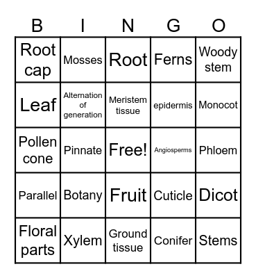 Biology Bingo Plants Bingo Card