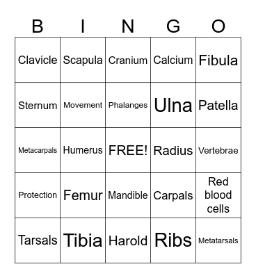 Yr8 Skeleton Bingo Card