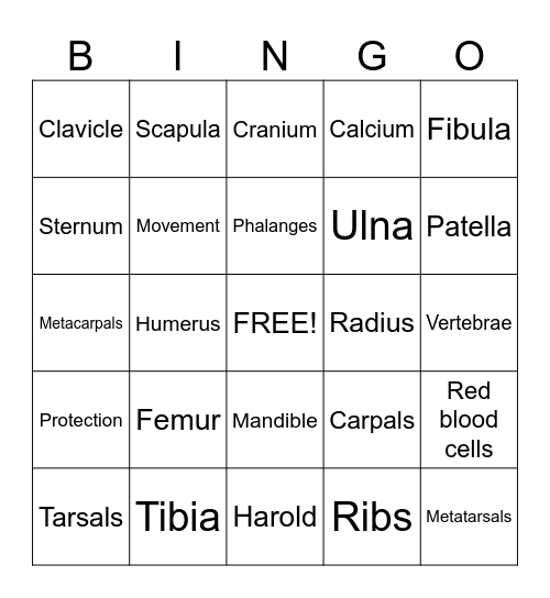 Yr8 Skeleton Bingo Card