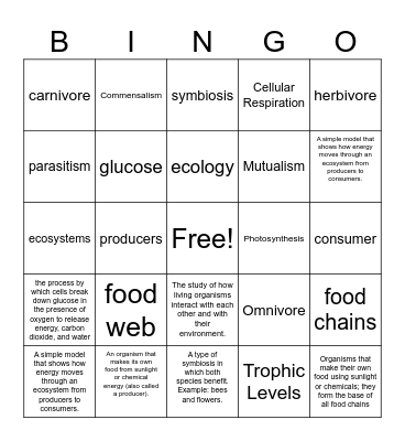 kelp forest test review Bingo Card