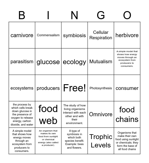 kelp forest test review Bingo Card