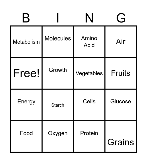 Metabolism Bingo Card