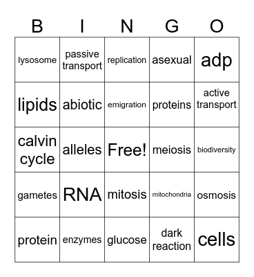 biology bingo Card