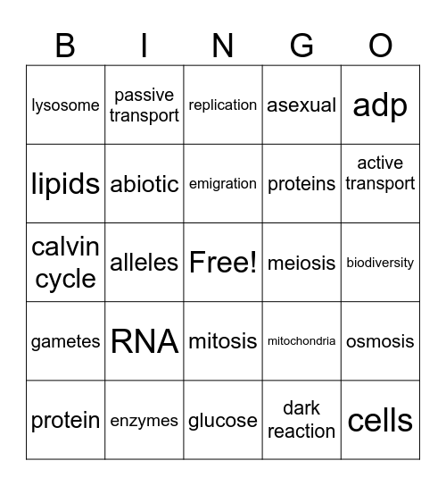 biology bingo Card
