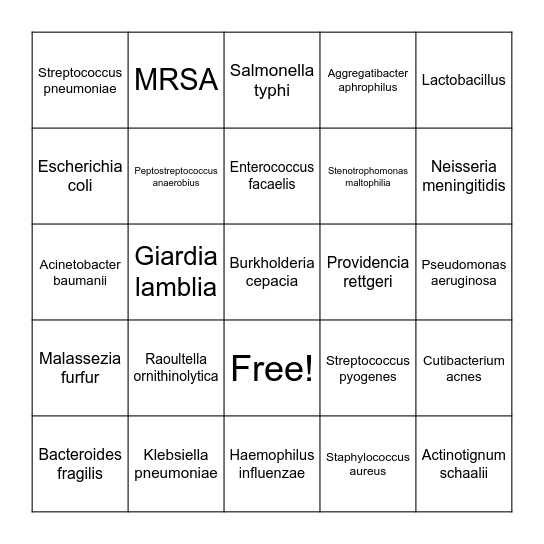 Christmas Bugs Bingo Card