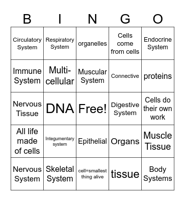Cells 2 - cell theory & tissues Bingo Card