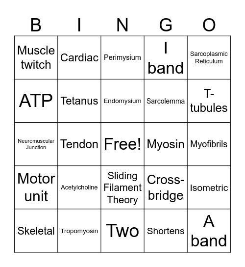 Ch.9 Muscles Bingo Card