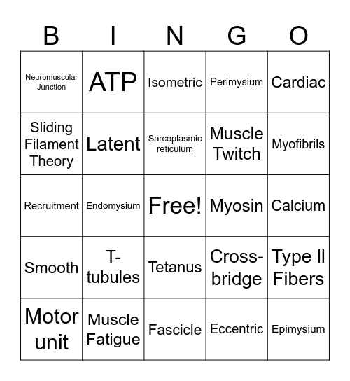 Muscles Bingo Card