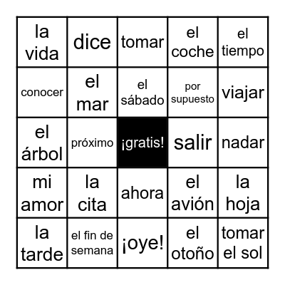 Bingo de Vocabulario Bingo Card