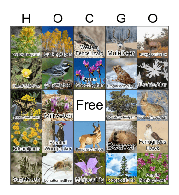Central Oregon Native Species Bingo Card
