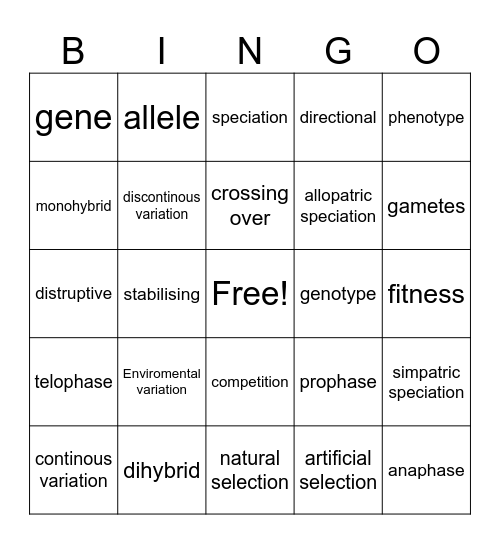 Inheritance and Selection Bingo Card