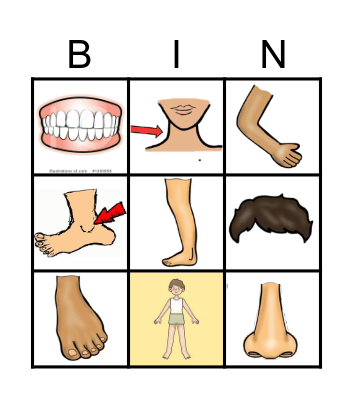 Partes del cuerpo: BODY PARTS Bingo Card