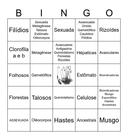 BRIÓFITAS Bingo Card