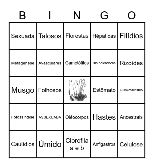 BRIÓFITAS Bingo Card