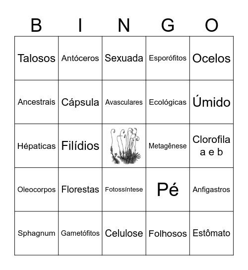BRIÓFITAS Bingo Card