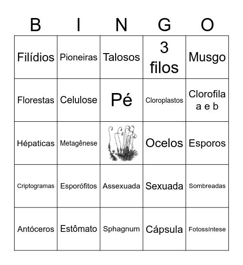 BRIÓFITAS Bingo Card
